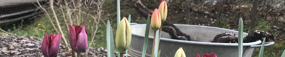 raum fuer atem yoga header weihnachten